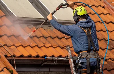 Démoussage et hydrofuge de toiture à Prahecq